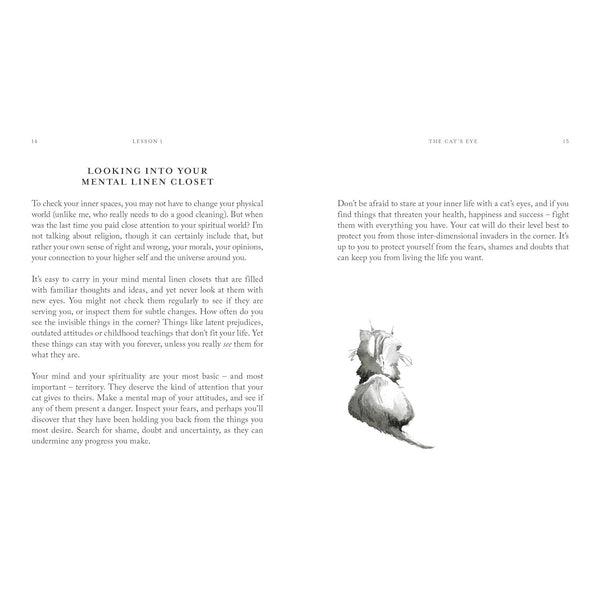 10 Spiritual Lessons You Can Learn From Your Cat - Hardcover Book - Lady of the Lake
