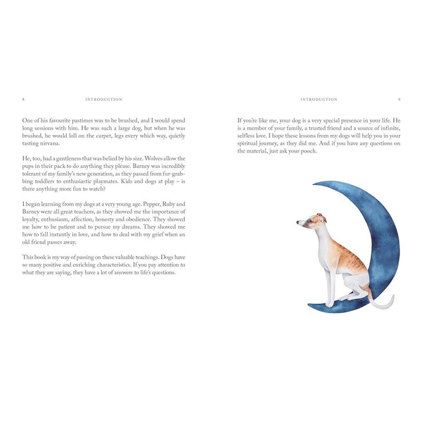 10 Spiritual Lessons You Can Learn From Your Dog - Hardcover Book - Lady of the Lake