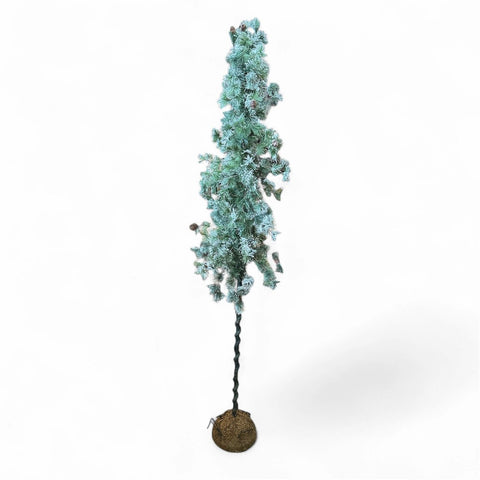 6' Snow Ming Pine Crooked Tree - Lady of the Lake