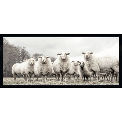 Herd - Framed Canvas