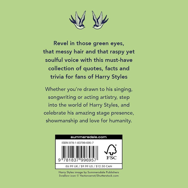 A Little Bit Of Harry Styles - Hardcover Book - Lady of the Lake