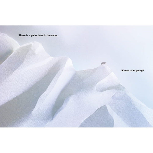 A Polar Bear In Snow - Hardcover Book