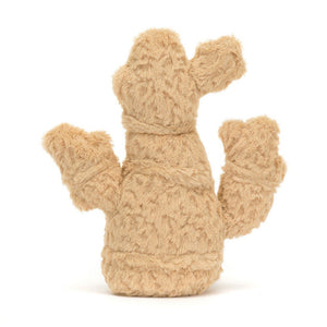 files/amuseables-ginger-495313.jpg