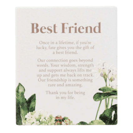 Best Friend Plaque - Lady of the Lake