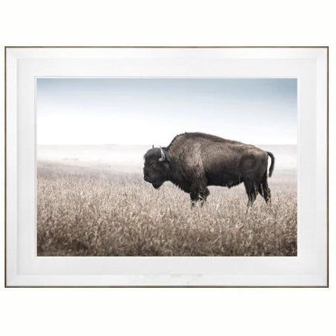 Bison Field - Framed Print