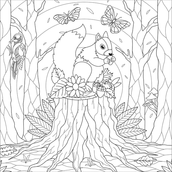 Boho Dreams Artist's Colouring Book