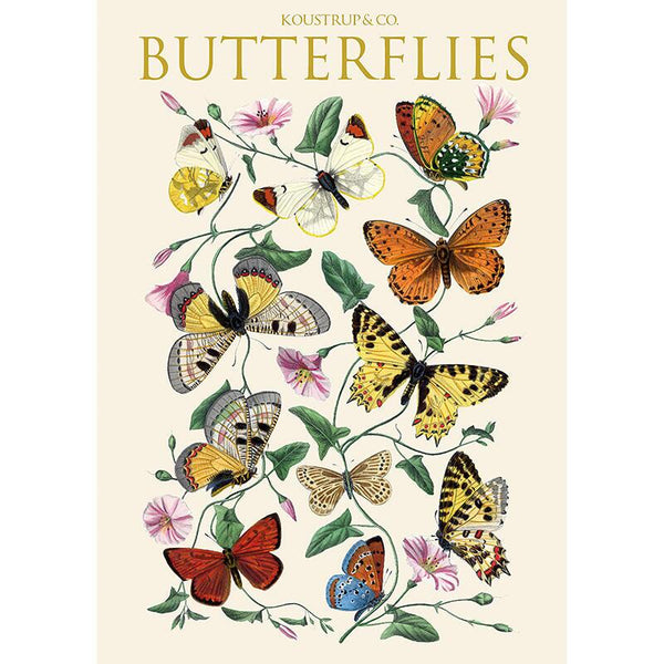 Butterflies - Notecard Set - Blank - Lady of the Lake