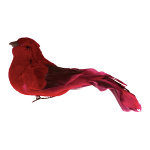 files/cardinal-bird-clip-448623.png