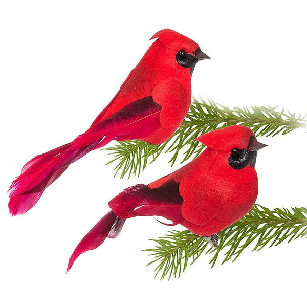 Cardinal Bird Clip