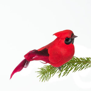 files/cardinal-bird-clip-955304.jpg