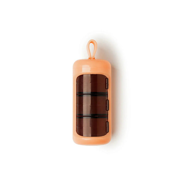 Care Capsule Pill & Vitamin Case - Lady of the Lake