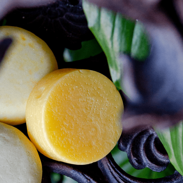 Classic Conditioner Bar - Bee By The Sea - Lady of the Lake
