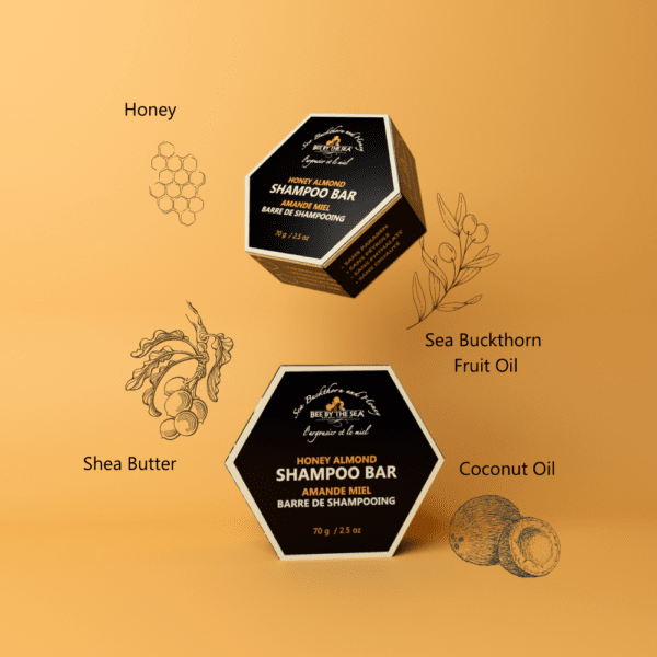Classic Shampoo Bar - Bee By The Sea - Lady of the Lake