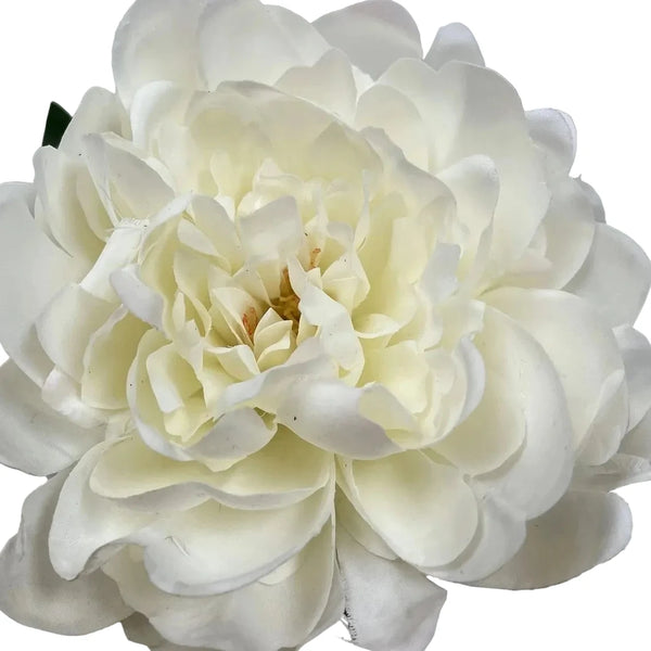 Cream Fresh Touch Peony Stem - Lady of the Lake