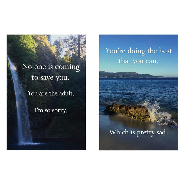 Disappointing Affirmations - Hardcover Book - Lady of the Lake