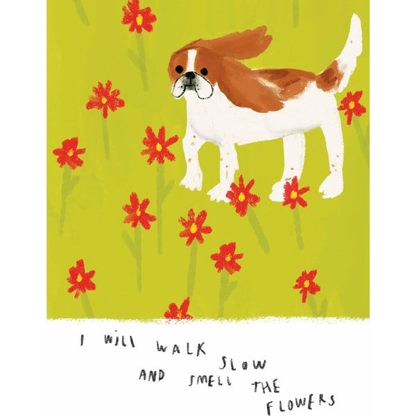 Dog Affirmations - Hardcover Book - Lady of the Lake