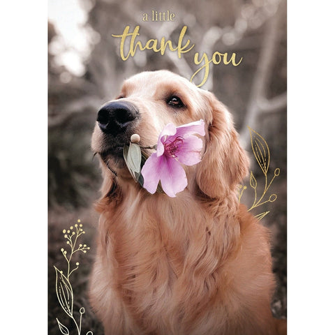 Dog With Flower - Greeting Card - Thank You