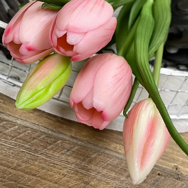 Dynasty Pink Fresh Touch Tulip Bundle - Lady of the Lake