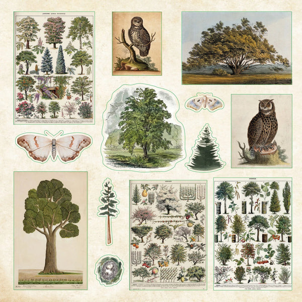 Enchanted Forest - Sticker Book - Lady of the Lake
