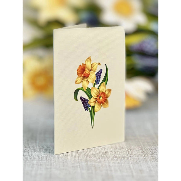 English Daffodil - Mini Pop - up Greeting Card - Blank - Lady of the Lake
