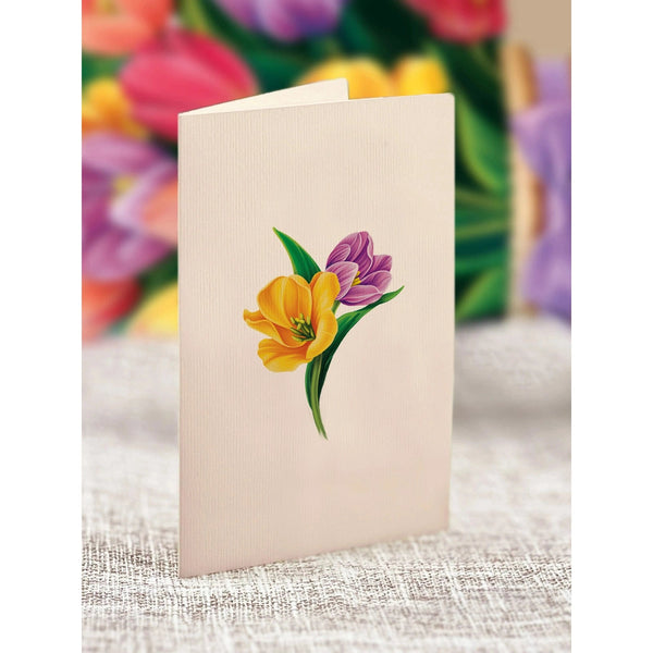 Festive Tulips - Mini Pop - up Greeting Card - Blank - Lady of the Lake