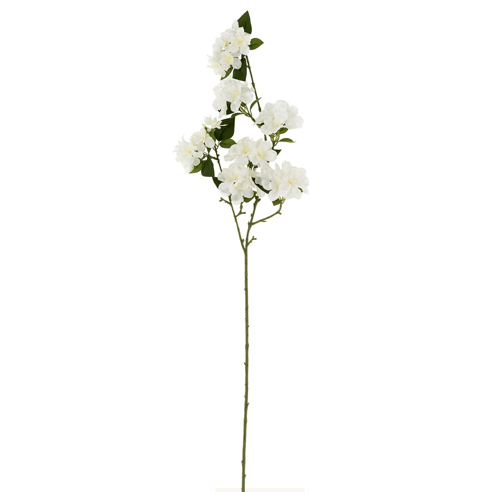 Flowering Cherry Blossom Branch - Lady of the Lake