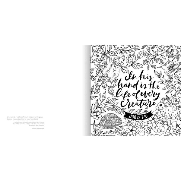 For The Beauty Of The Earth: A Coloring Book To Celebrate The Wonder Of Creation - Lady of the Lake