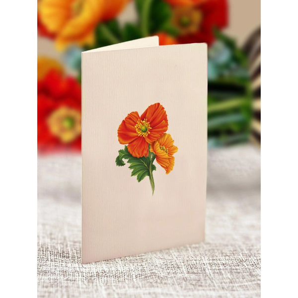 French Poppies - Mini Pop - up Greeting Card - Blank - Lady of the Lake
