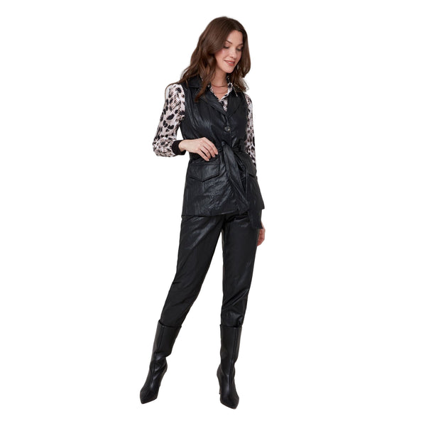 Gina Vest - Lady of the Lake