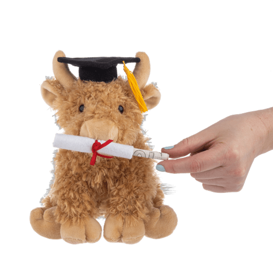 Graduation Hennie Highland Cow - Lady of the Lake