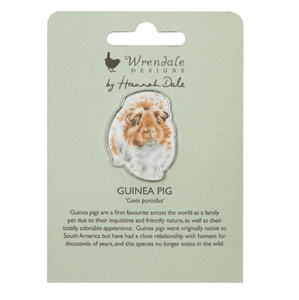 files/grinny-pig-guinea-pig-pin-969451.png