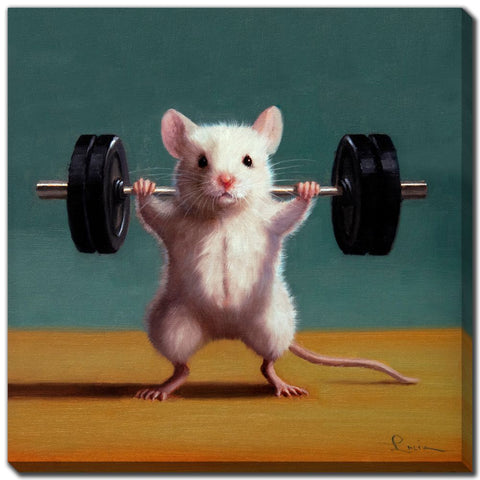 Gym Rat Back Squat - Printed Canvas