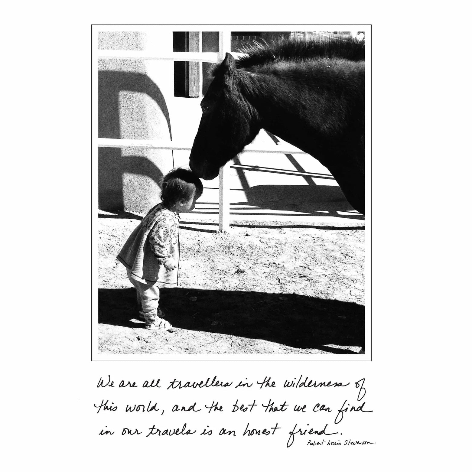 Horse With Baby - Greeting Card - Birthday