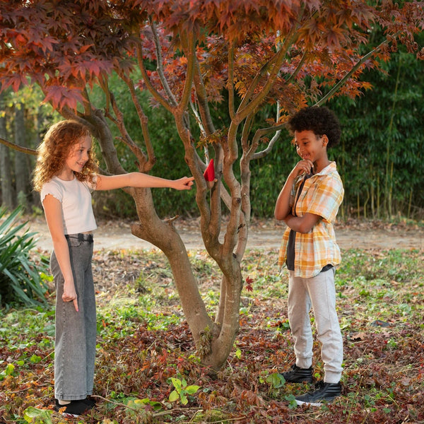 Huckleberry Where Is My Hat? Game - Lady of the Lake