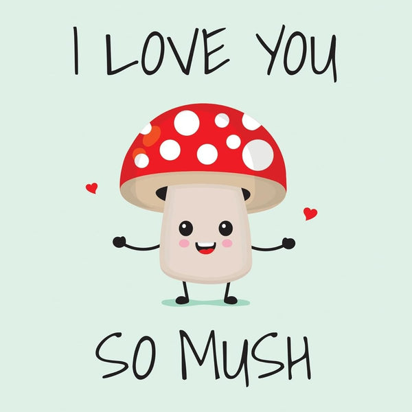 I Love You So Mush - Hardcover Book - Lady of the Lake
