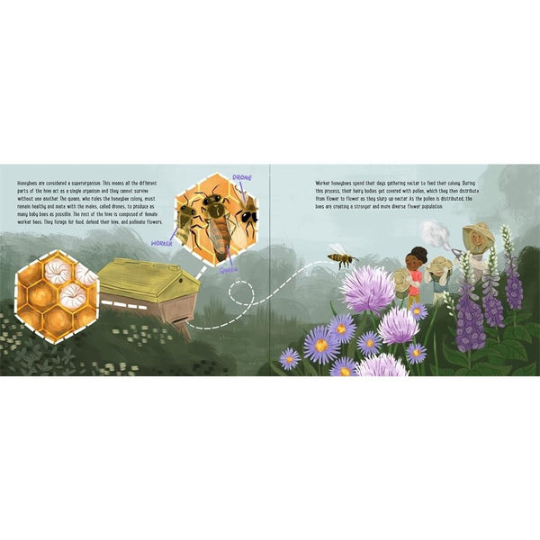 If Bees Disappeared - Hardcover Book - Lady of the Lake