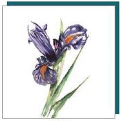 Iris - Greeting Card - Blank