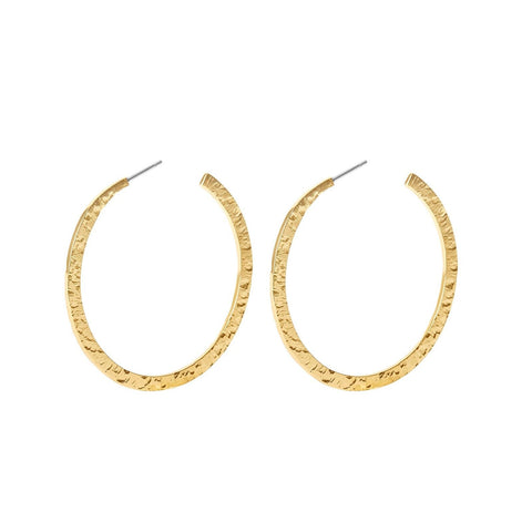 Isla Hammered Hoop Earrings - Lady of the Lake