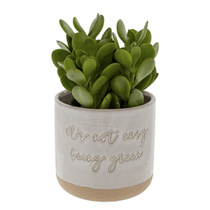 It's Not Easy Being Green Plant Pot - Lady of the Lake
