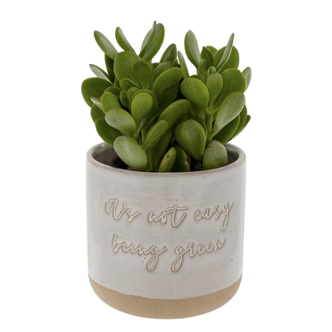 It's Not Easy Being Green Plant Pot - Lady of the Lake