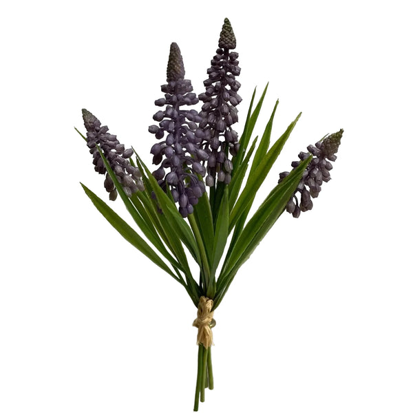 Lavender Muscari Bundle - Lady of the Lake