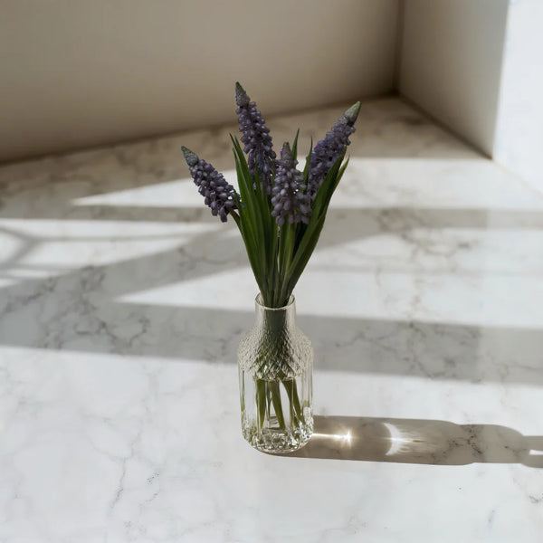 Lavender Muscari Bundle - Lady of the Lake