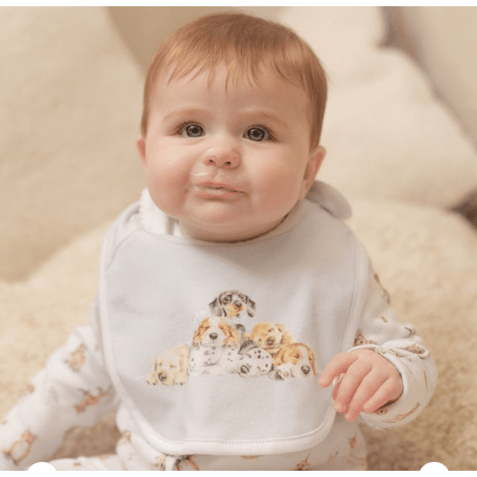 Little Paws - Bib Set - Lady of the Lake