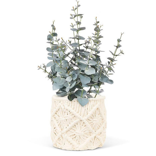 Macrame Style Planter - Lady of the Lake