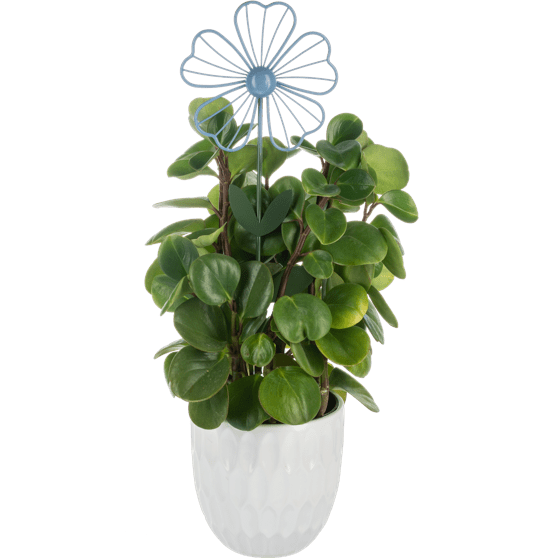 Mini Flower Stake - Lady of the Lake