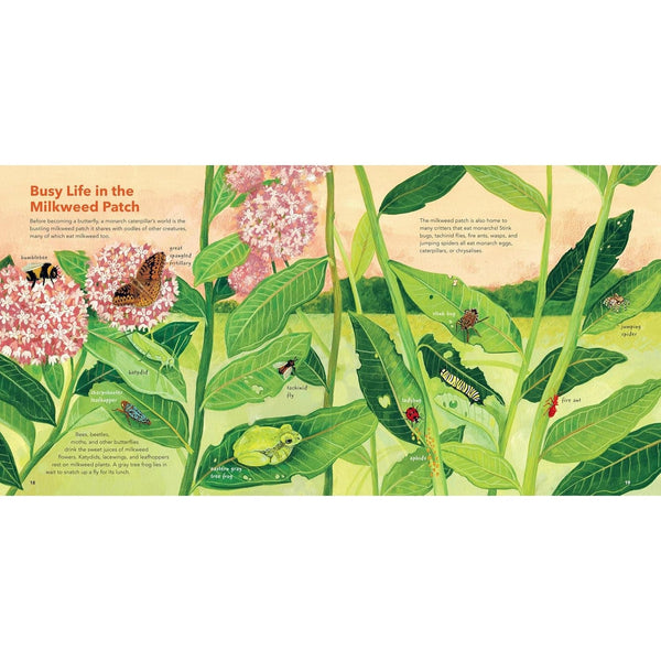 Monarch Butterflies - Hardcover Book - Lady of the Lake