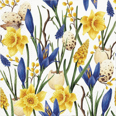 Muscari & Daffodils - Paper Napkins