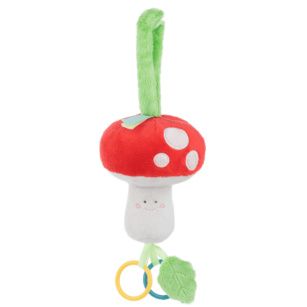 Mushroom Activity Toy