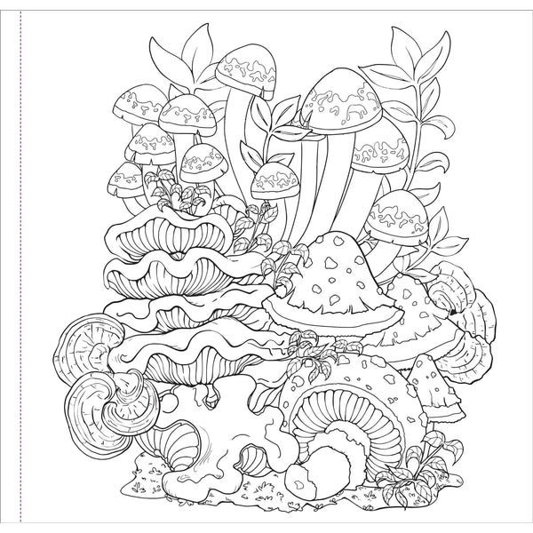 Mushrooms Artist's Colouring Book - Lady of the Lake