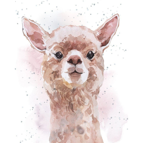 No Prob-Llama - Enclosure Greeting Card - Blank